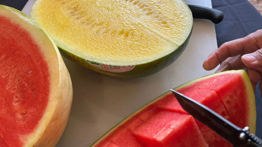 Syngenta Vegetable Seeds created firm, flesh watermelons in response to grower feedback requesting dual-purpose watermelons.