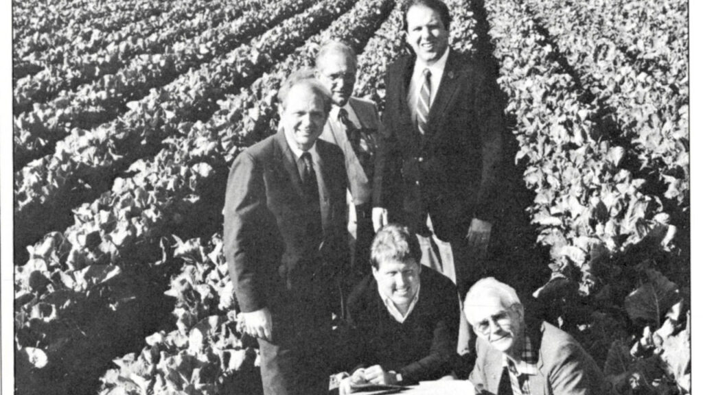 Markon’s quality control efforts begin in the field. Examining lettuce in 1986 are (standing, L-R) Ronnie Wallace, president, and Bill Sheid, vice president, Ben E. Keith Co.; and Gary Walsh, president, Miller Cascade Inc. In the foreground are Markon Executive Vice President David Eldredge and Paul Gordon, president, Gordon Food Service.