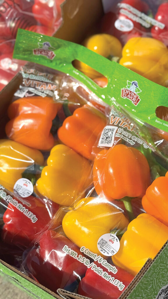 Nogales, AZ, is a critical spring gateway for U.S. retailers because it bridges the transition between winter growing regions and the start of major domestic harvests, ensuring consistent supply and volume.
