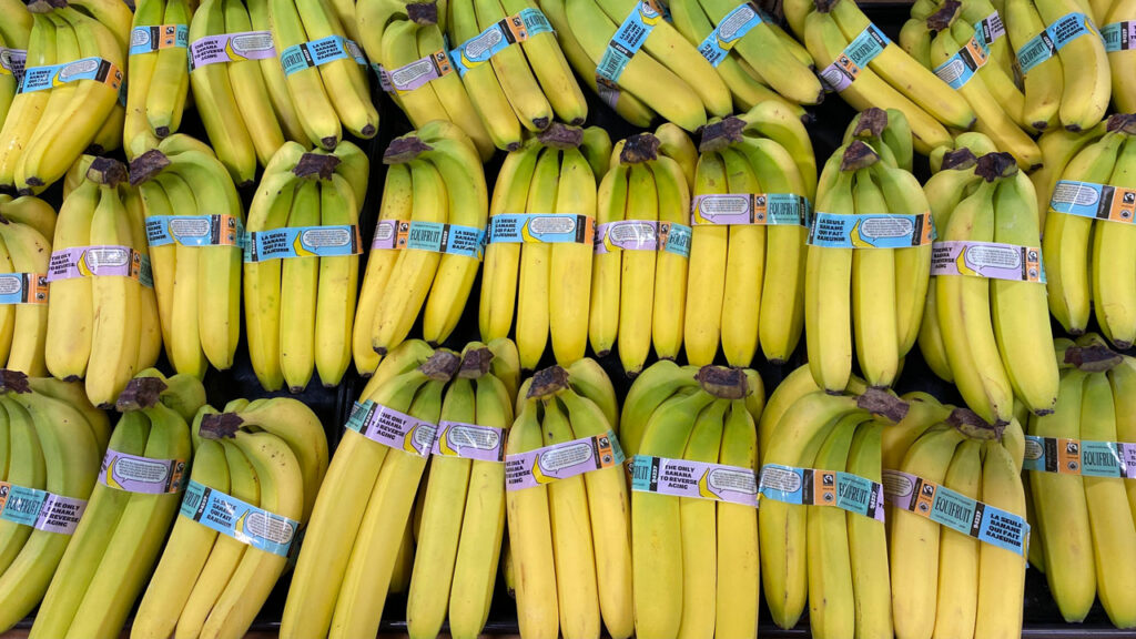 Equifruit leverages Montreal’s strategic location and strong fair trade demand to deliver bananas efficiently, supplying major retailers while capitalizing on the city’s proximity to key import hubs.
