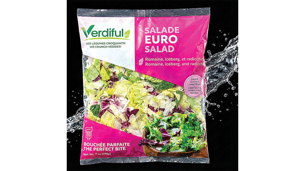 Shapiro Fruit Inc. has many years in the Montreal market. In addition to working with local produce, this processing plant mainly works with salad from California, chopping, washing and packaging it for use in foodservice operations. Differentiating itself from most U.S. firms, the company vacuum packs its salads.