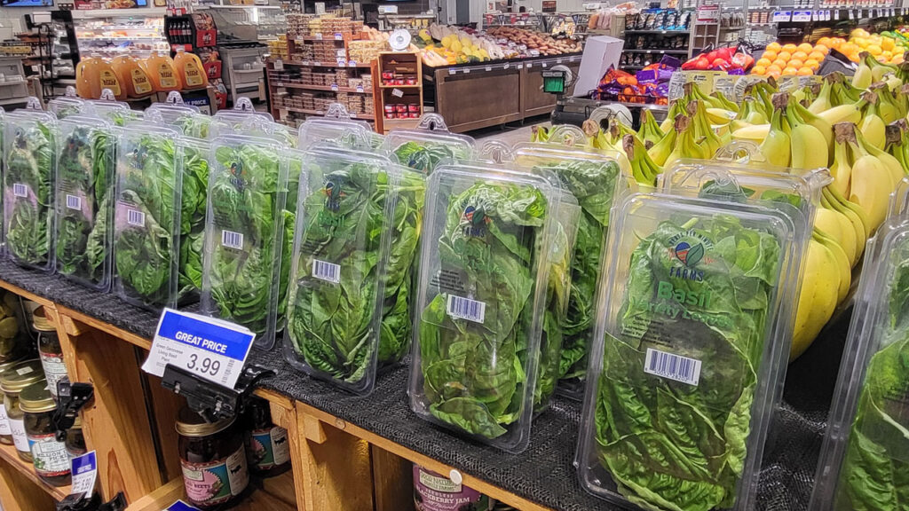Basil is the top crop at Beats Per Minute (BPM), a Kansas City, MO-based veteran-owned vertical farming company. BPM supplies its basil to 51 supermarkets in the Kansas City area, custom packaged in a bouquet wrap plastic. BPM also provides display stands for its retail customers for prominence and ease of merchandising.