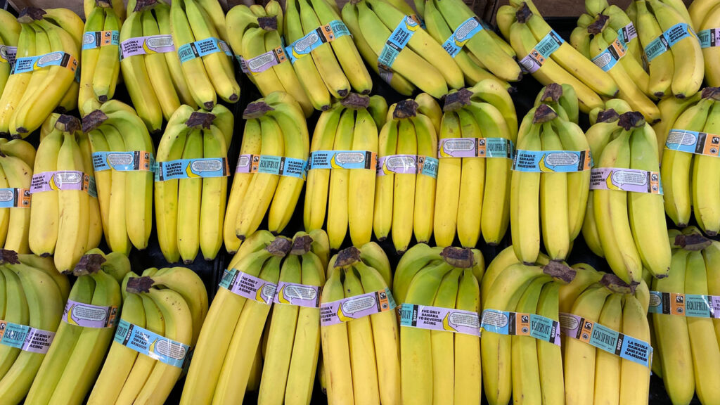 Merchandising bananas at the right ripeness stage — bright yellow with a touch of green — encourages immediate purchases, as shoppers prefer fruit that’s ready to enjoy within a day or two rather than waiting for it to ripen at home.