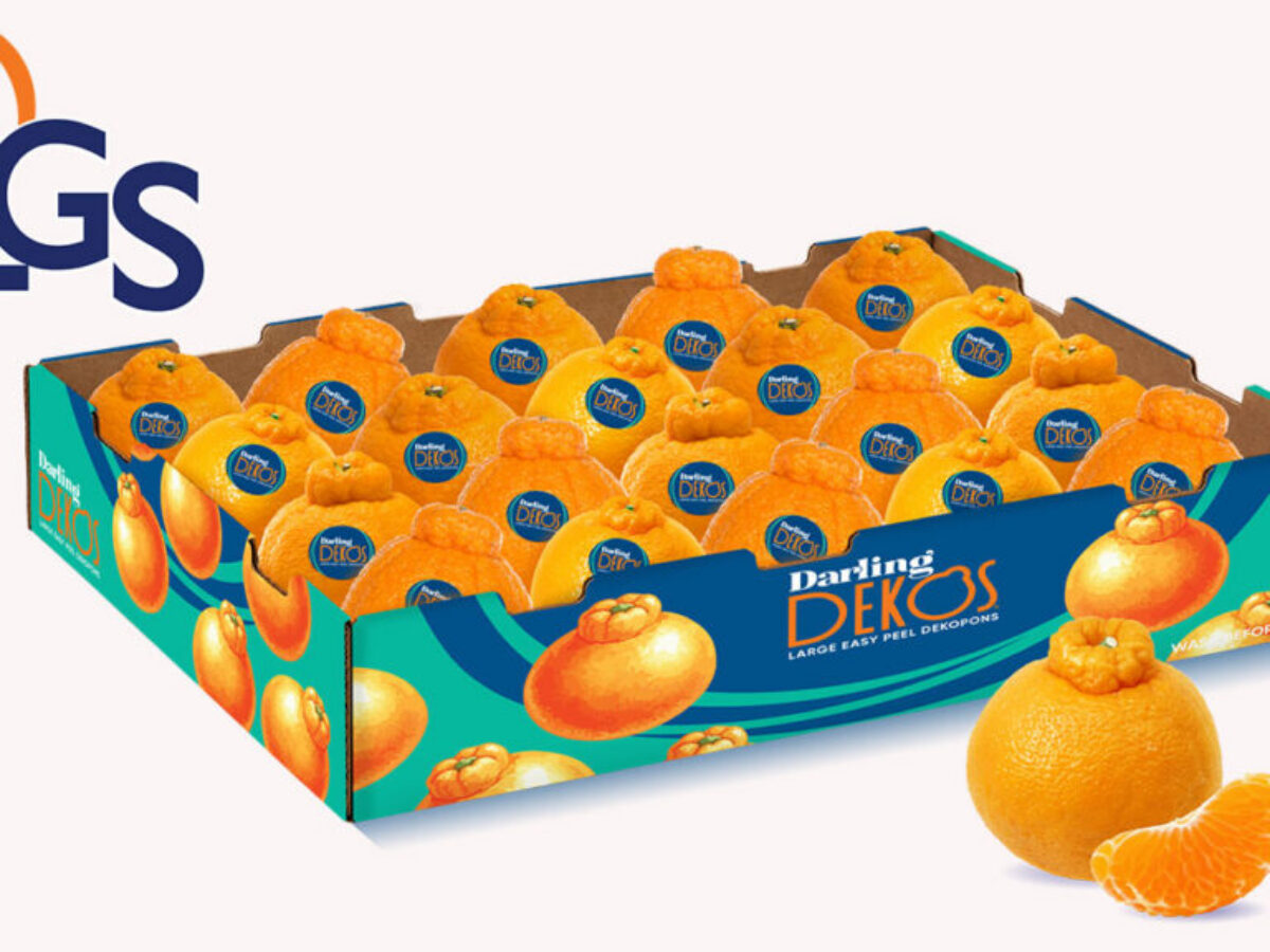 LGS Specialty Sales Introducing Darling Dekos, a New Chilean-Grown Dekopon Mandarin Program