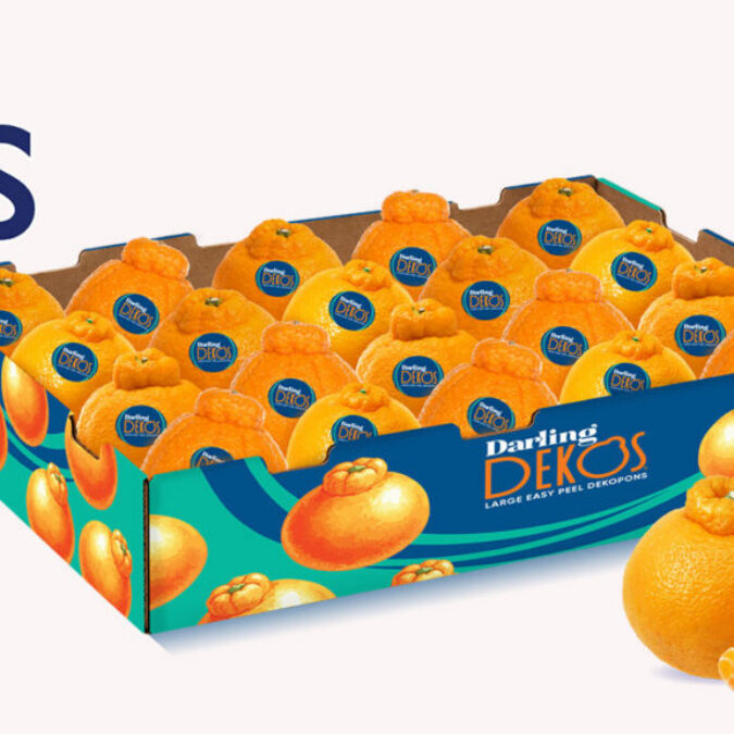 LGS Specialty Sales Introducing Darling Dekos, a New Chilean-Grown Dekopon Mandarin Program